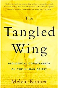 The Tangled Wing